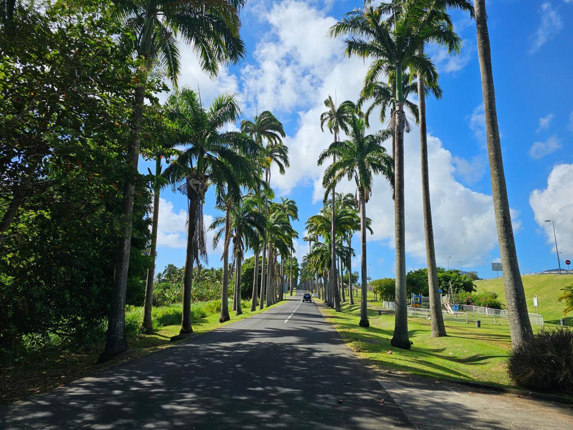 Villa Du Marquis Avec Piscine Capesterre-Belle-Eau Buitenkant foto